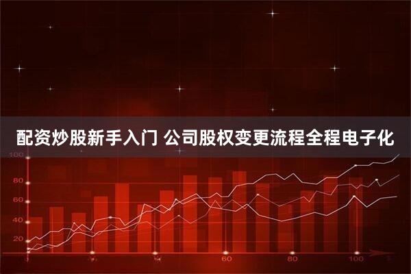 配资炒股新手入门 公司股权变更流程全程电子化
