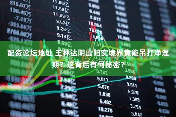 配资论坛地址 王林达阴虚阳实境界竟能吊打净涅期？这背后有何秘密？